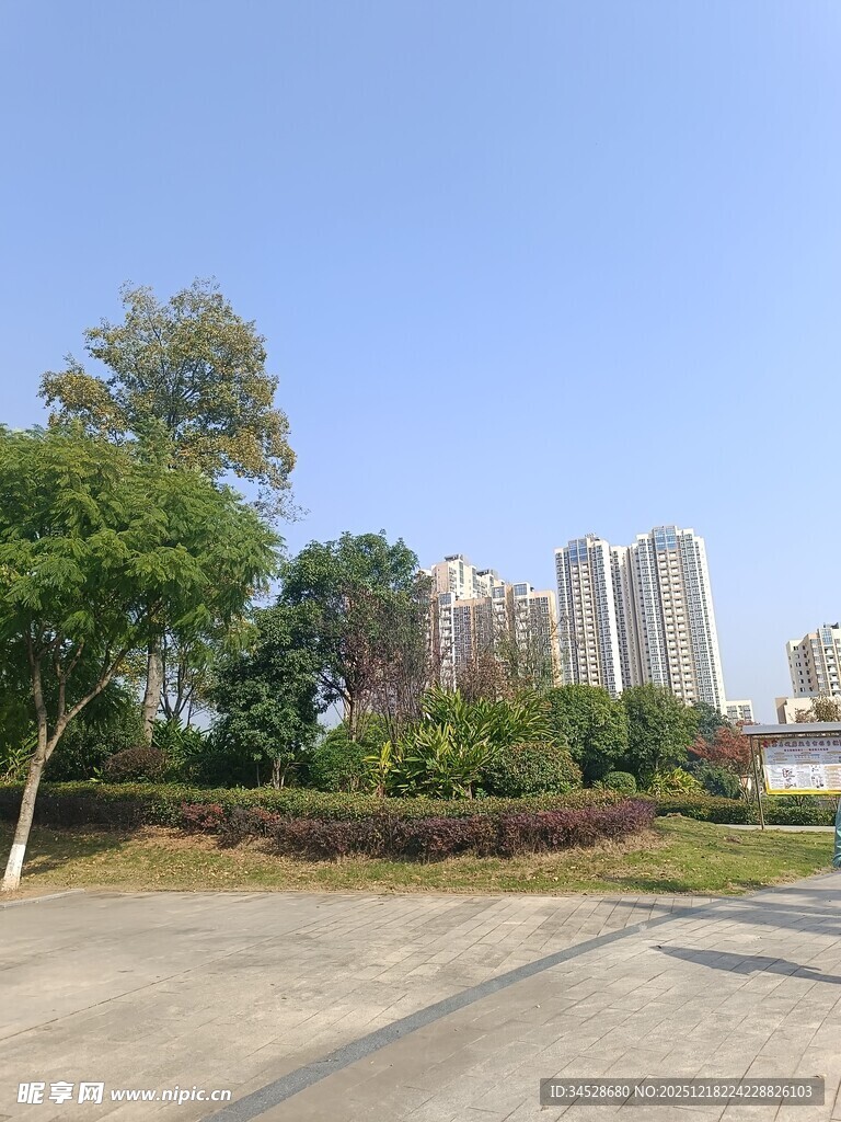 城市中的绿化景观与建筑