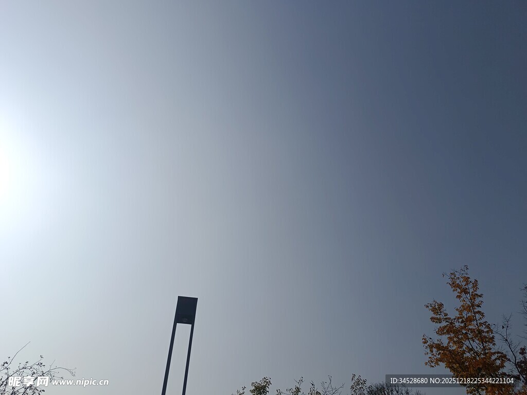 阳光下的路灯与树木