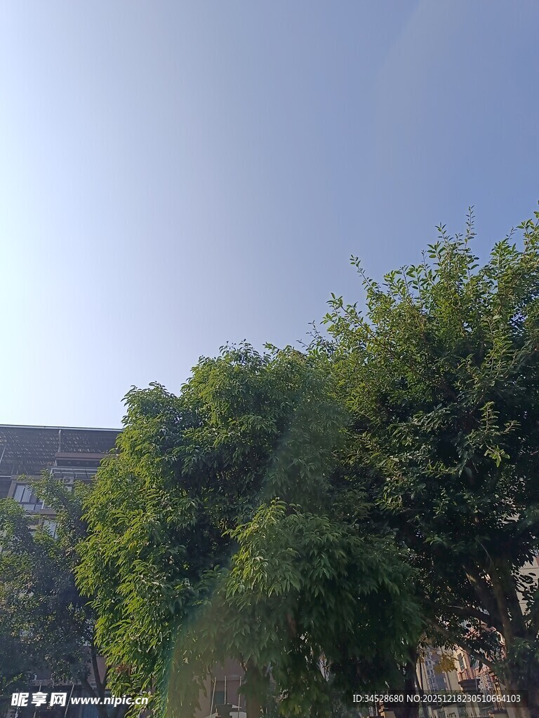 蓝天绿树旁的建筑一角