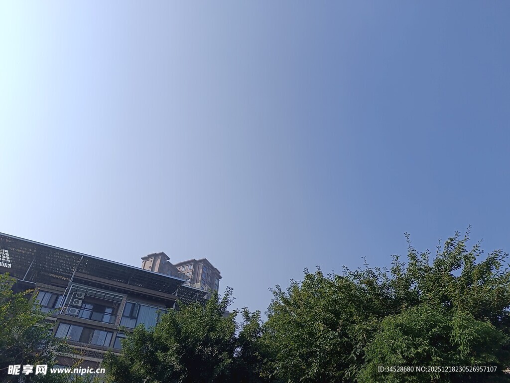 蓝天绿树旁的建筑物