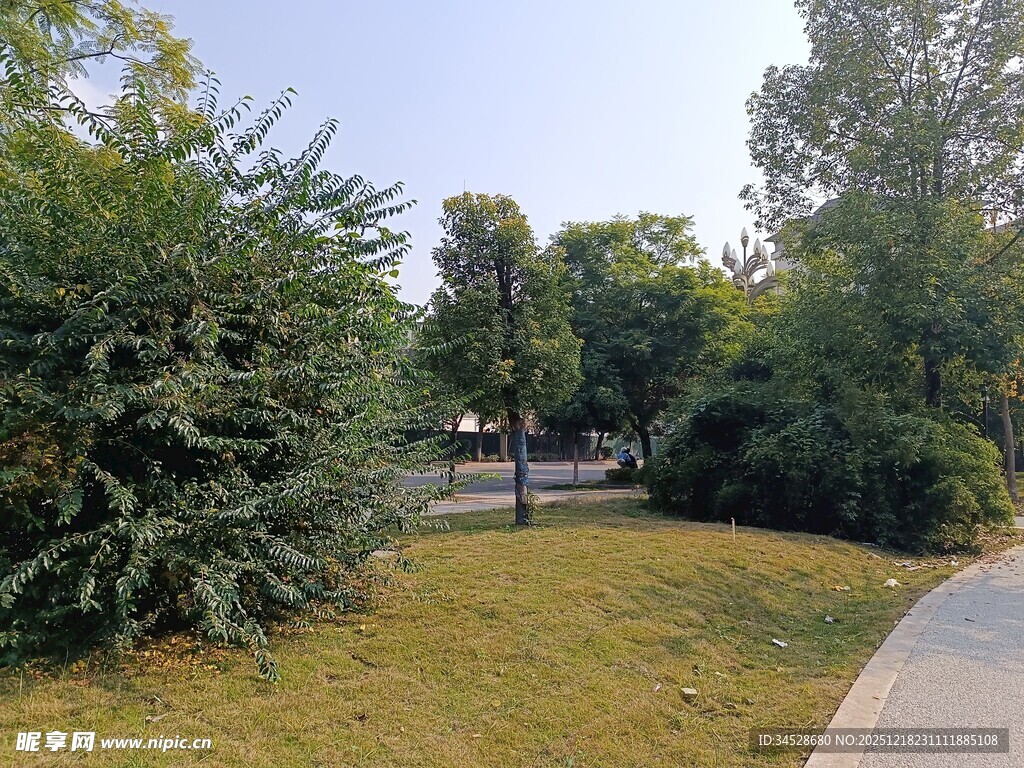 公园绿意小径景观