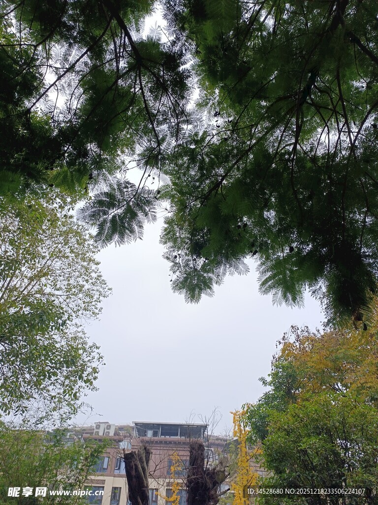 林间远望的古朴建筑