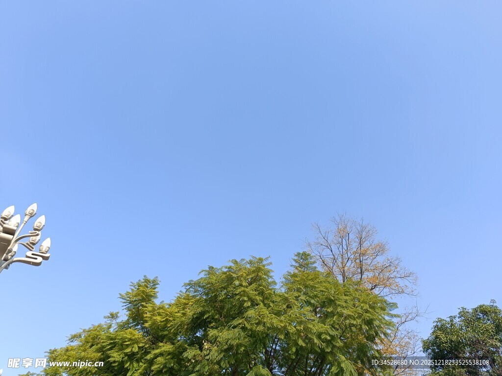 蓝天绿树风景图