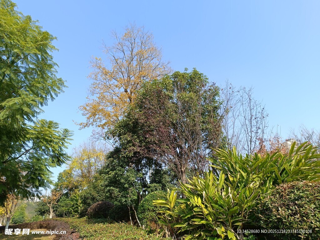 秋日公园绿意盎然景致