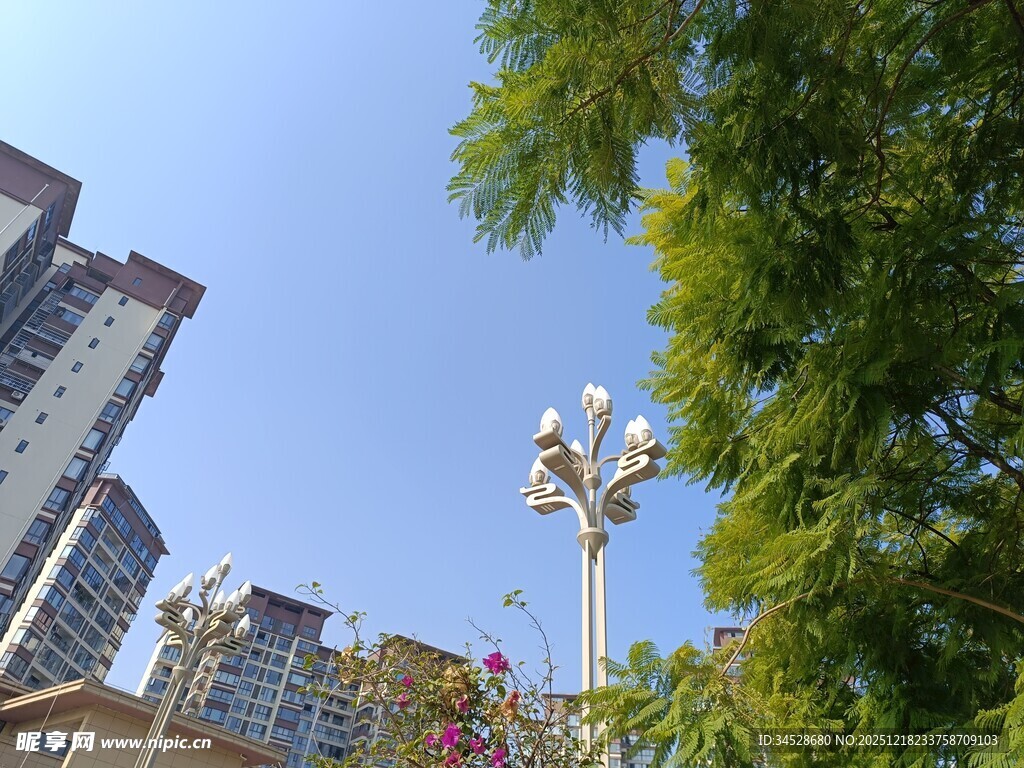 城市绿树间的路灯与高楼