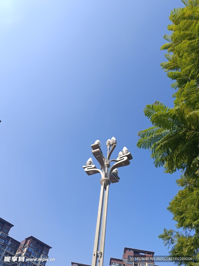 城市路灯与绿树蓝天景致