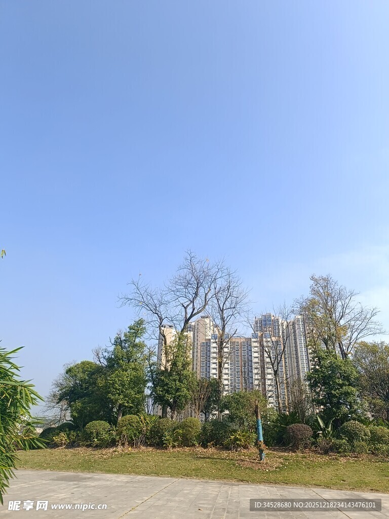 户外绿植环绕的建筑景观