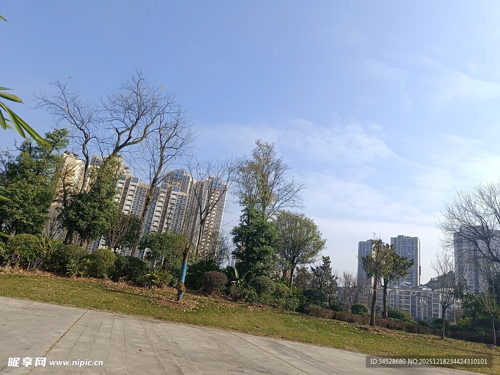 城市中的开阔绿地与建筑