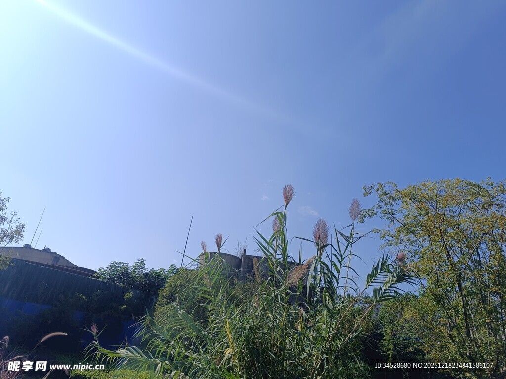 蓝天绿树间的自然景致