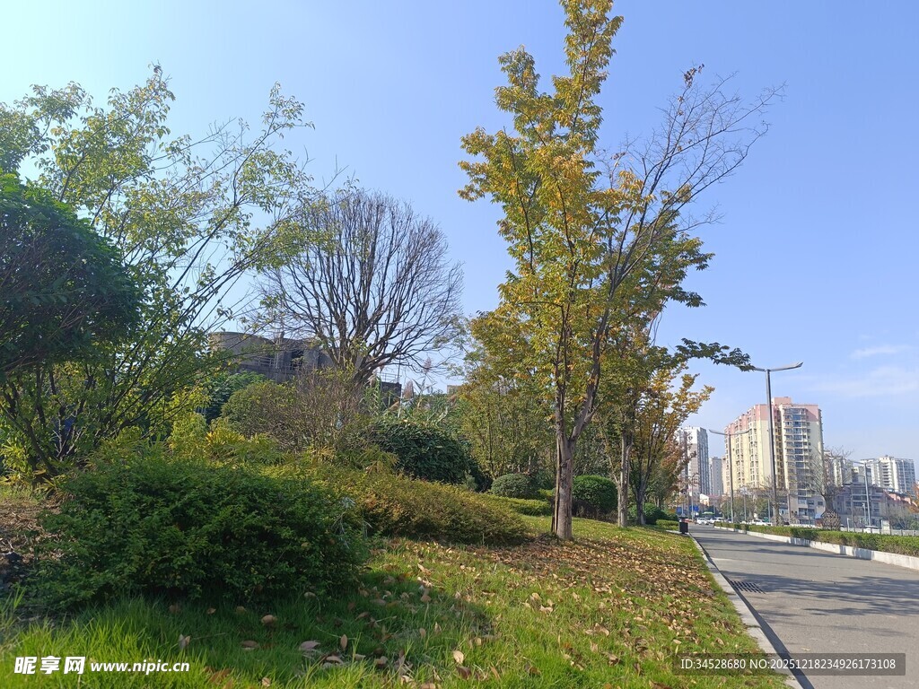 秋日公园景色宜人