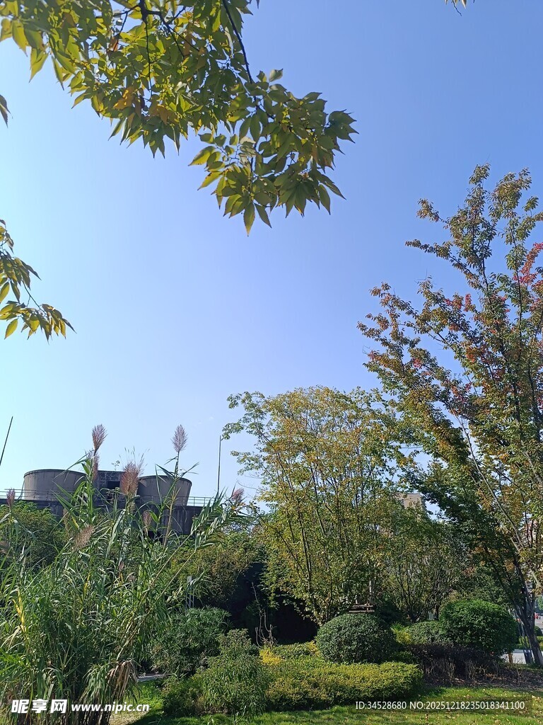 户外绿意盎然的自然景致