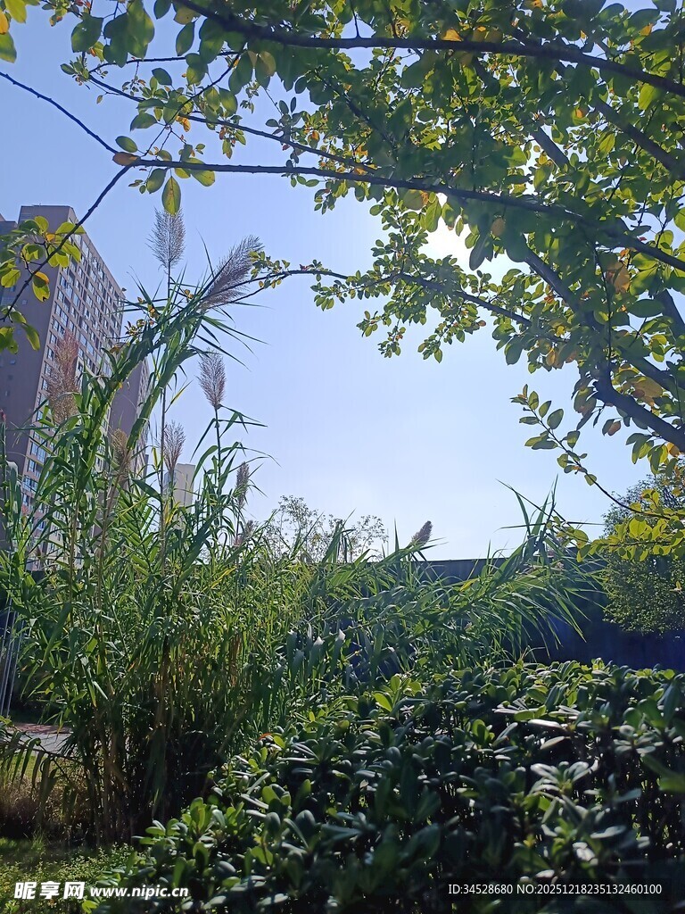 户外绿植与拱形建筑景观