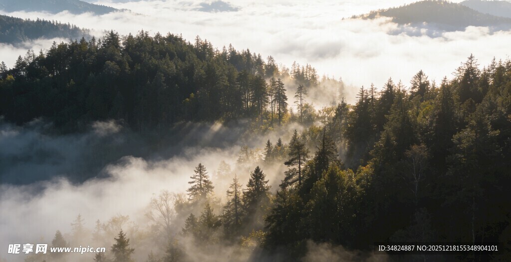 山林云海间的梦幻景致