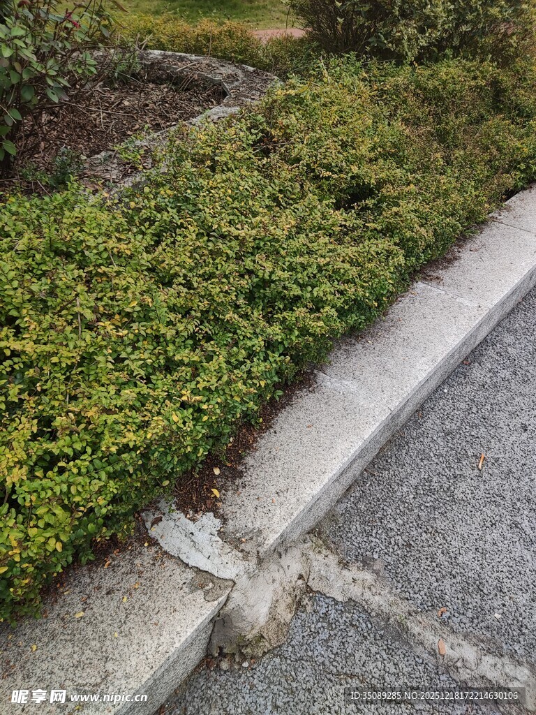 路边绿植旁的破损水泥块