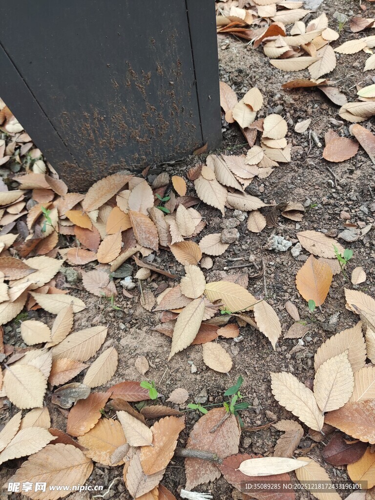 落叶堆积在物体底部