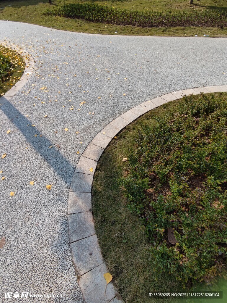 蜿蜒小径旁的绿植景观