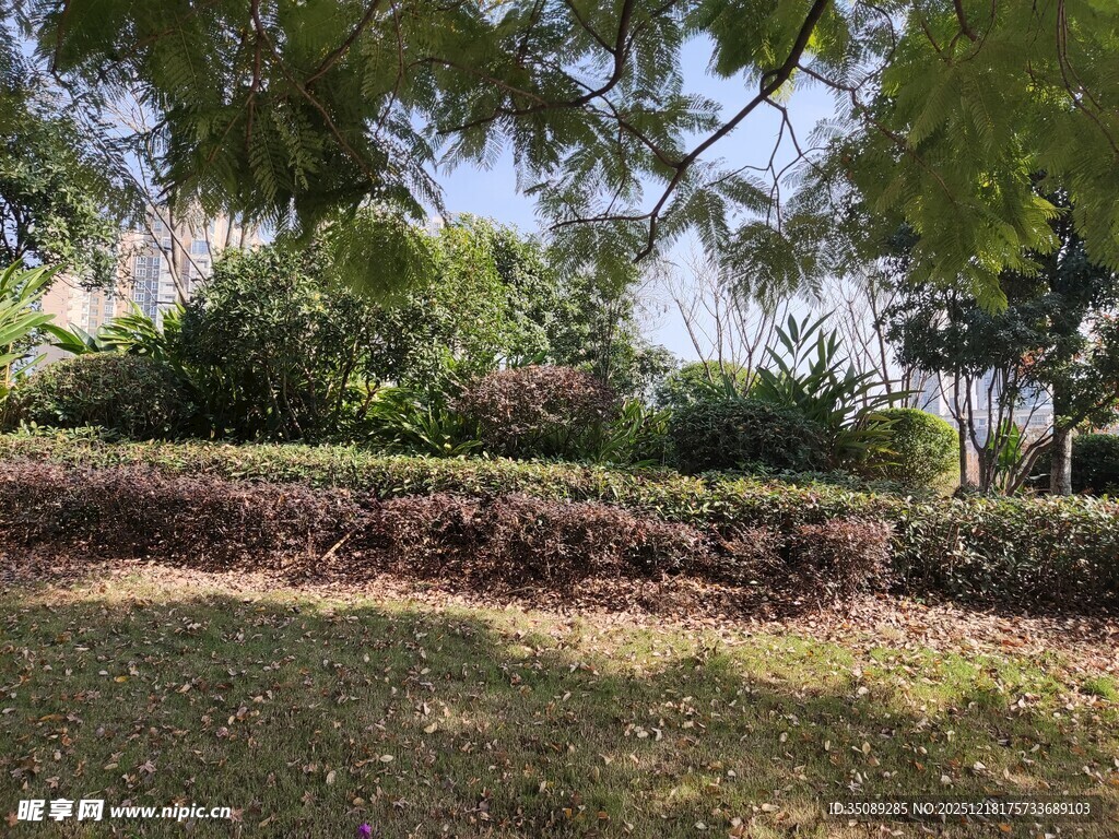 绿意盎然的户外园林景观