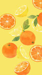 清新柑橘插画