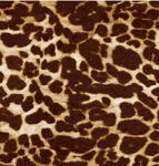 豹纹图案纹理背景