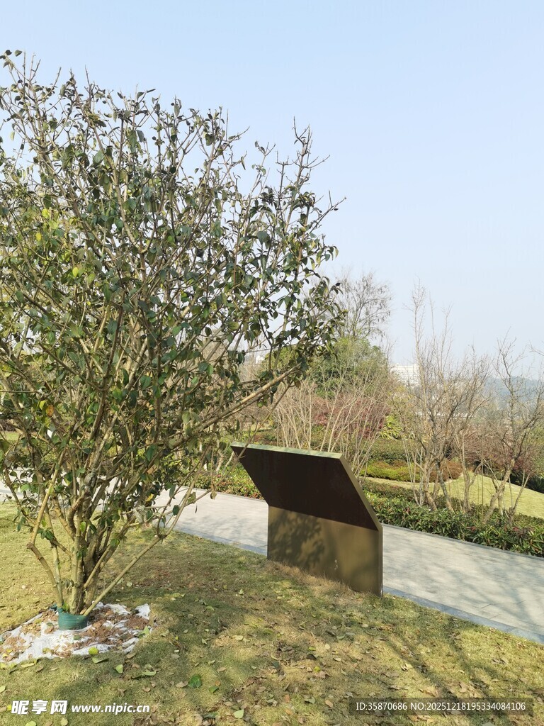 户外绿植旁的黑色雕塑装置