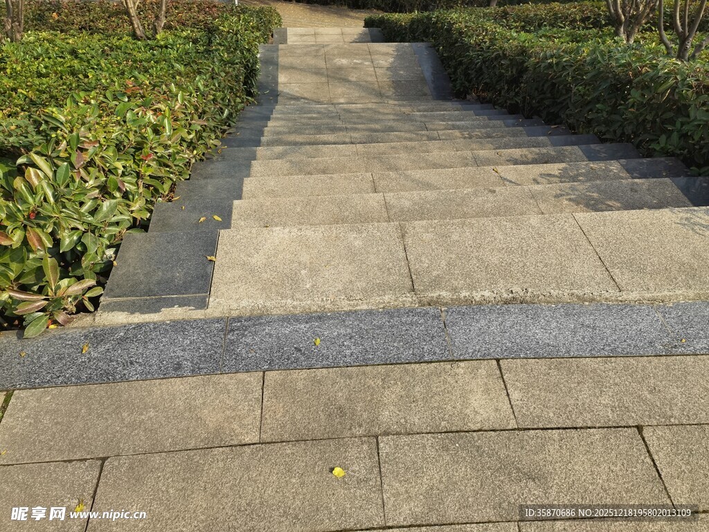 石板小径绿植相伴