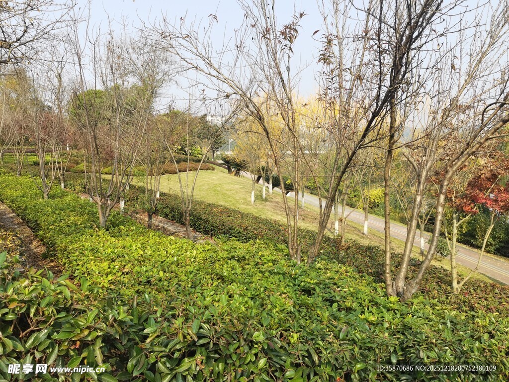 春日园林小径景观