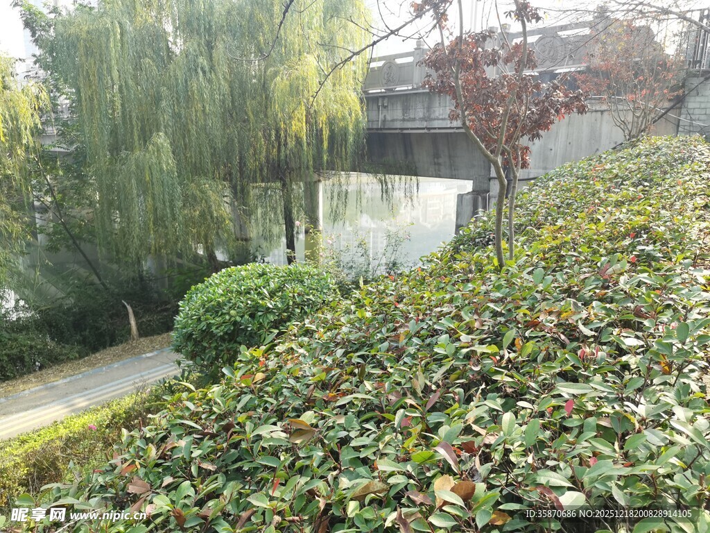 园林绿植与远处建筑景观