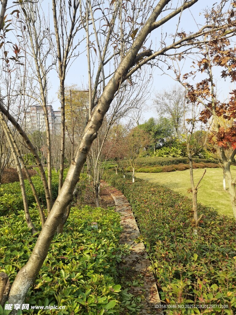 秋日园林小径景观