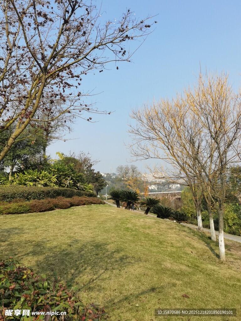 冬日公园草地景色