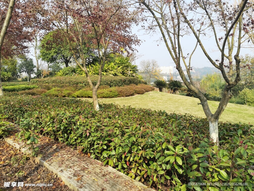 园林景致绿植繁茂的一角