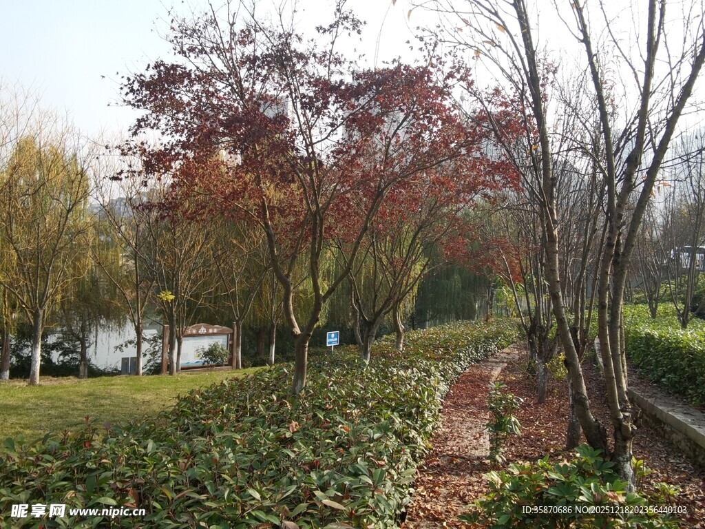 秋日公园小径美景