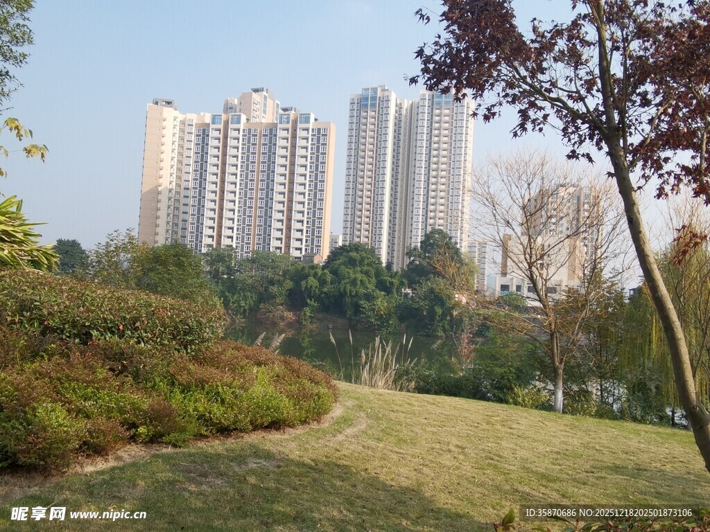 城市公园旁的高楼景观