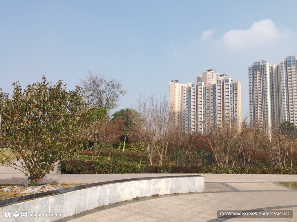 城市公园旁的高楼景致