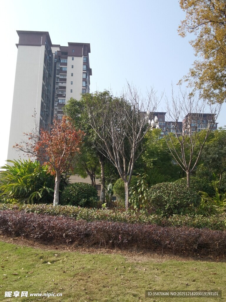 城市中的绿地与高楼景观