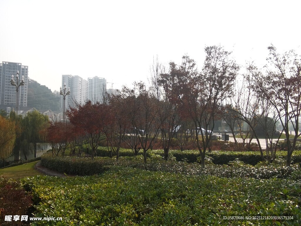 城市公园绿植景观