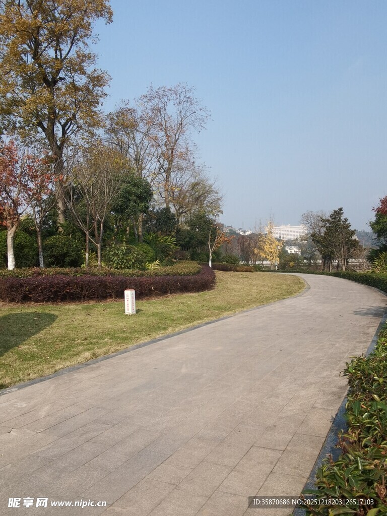 宽阔整洁的园林道路景观