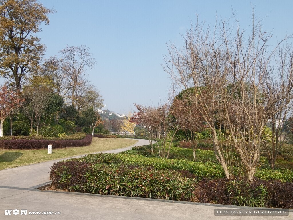 公园中的绿植景观