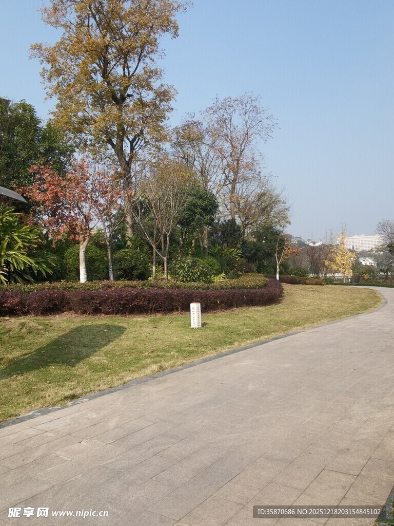 公园中的宽阔平坦道路