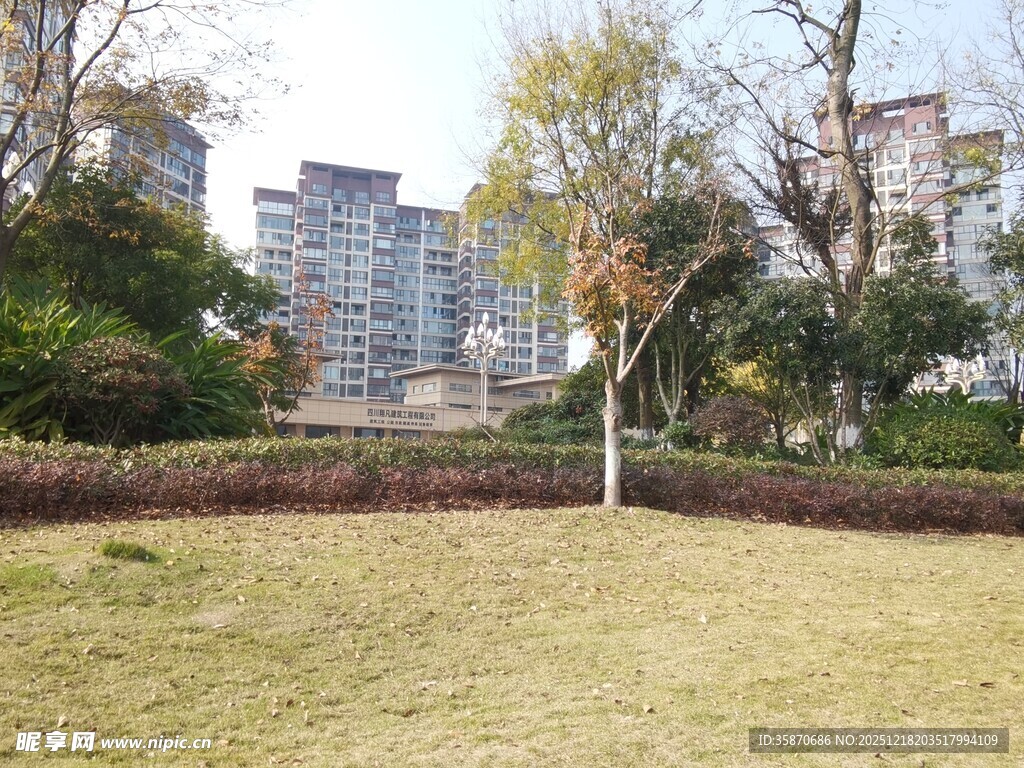 城市公园草地树木景观