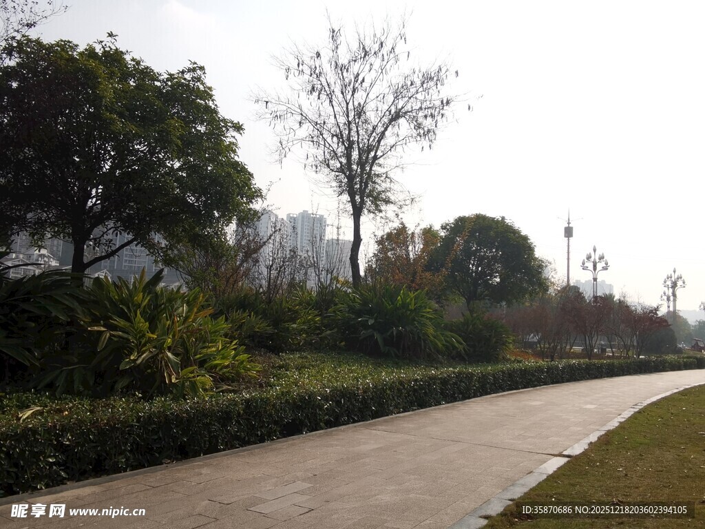 城市公园中的宁静小路