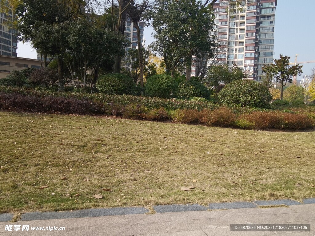 城市草地旁的绿植景观