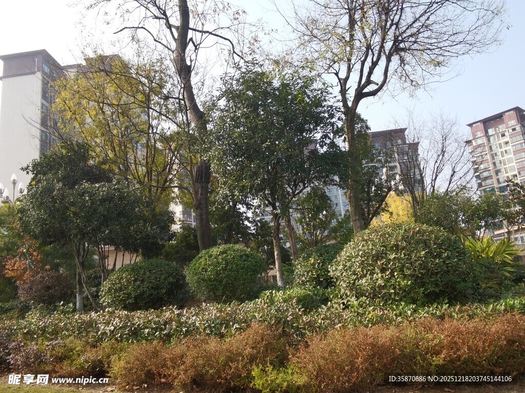 城市中的绿植景观