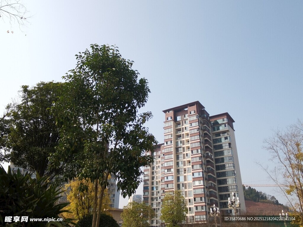 高楼旁绿树成荫的景致