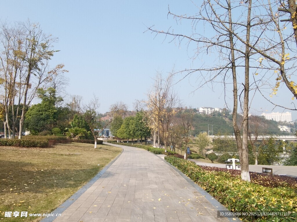 林间漫步小道静谧风光