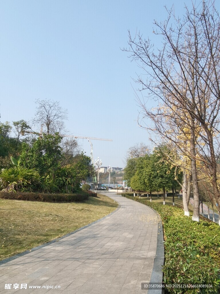 宁静的户外林间步道