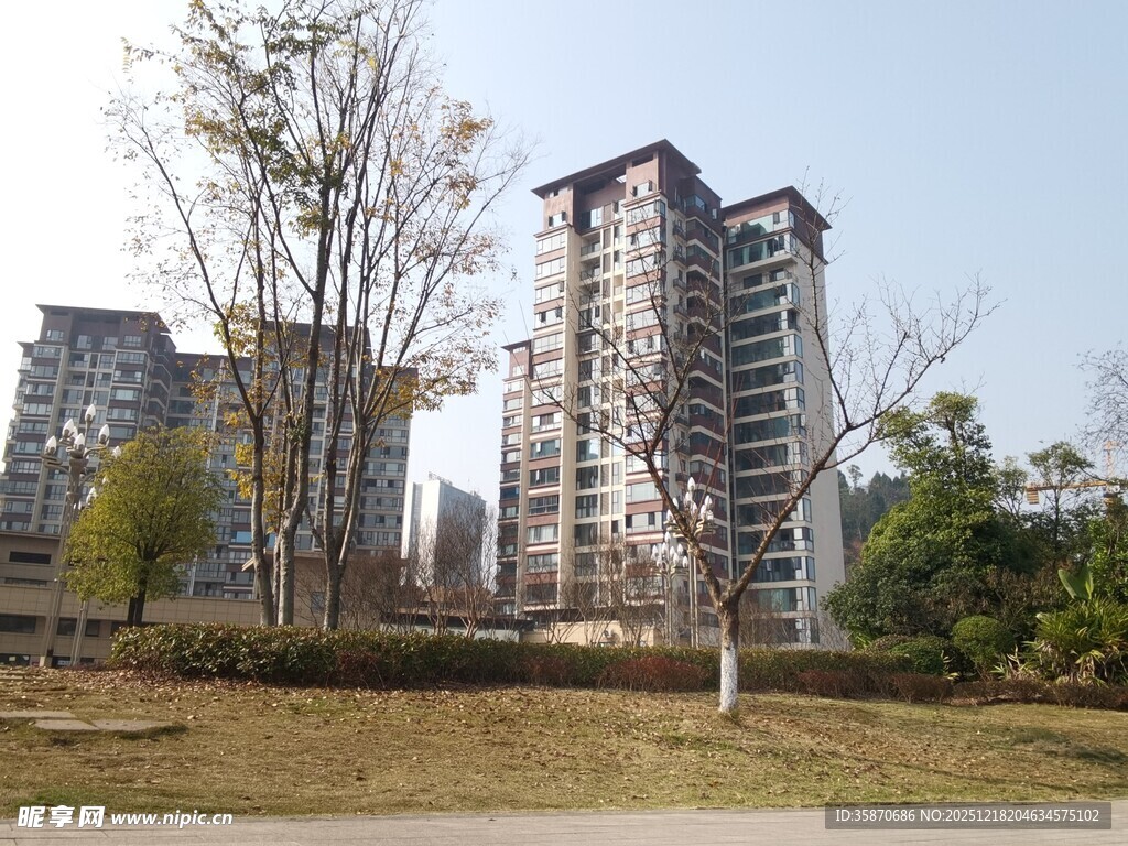 城市住宅区旁的开阔绿地