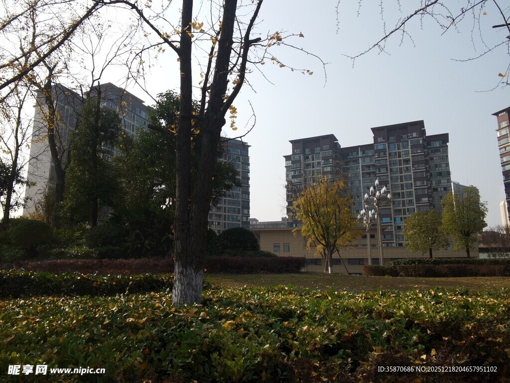 城市小区旁的绿植与建筑