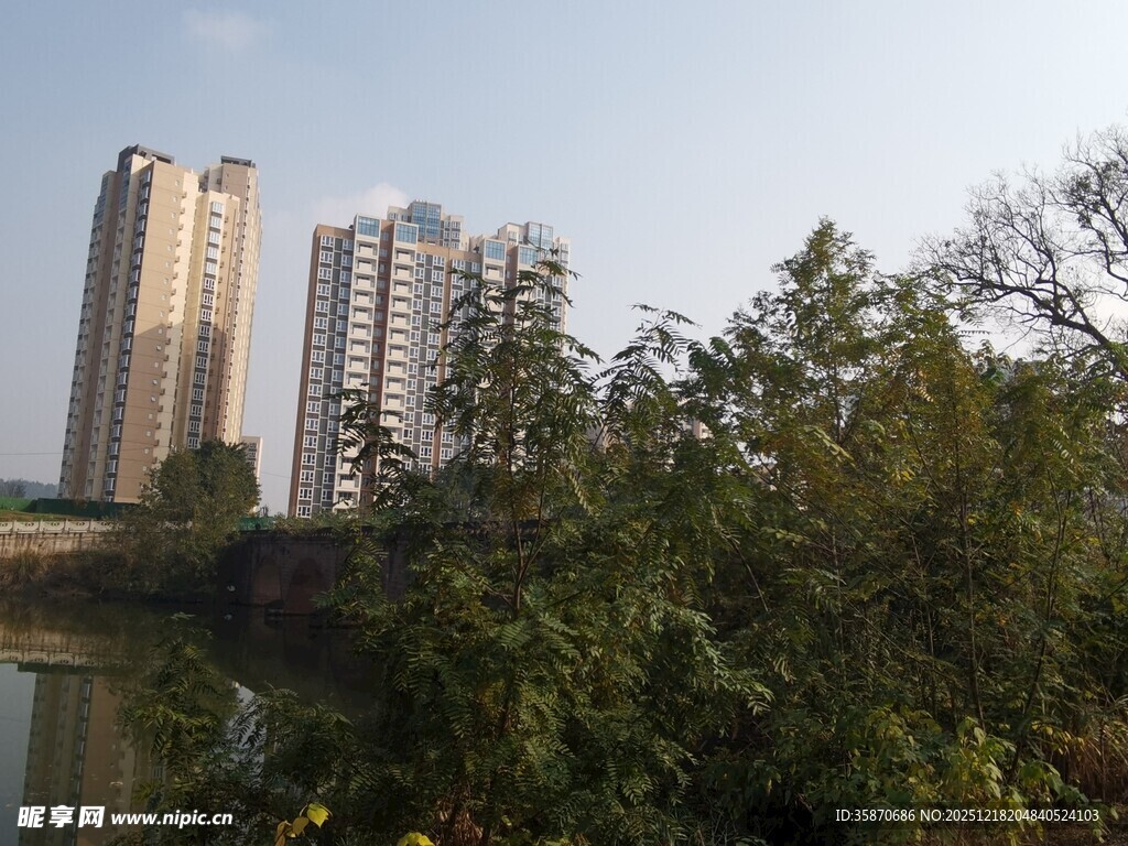 湖畔高楼与葱郁树木景观