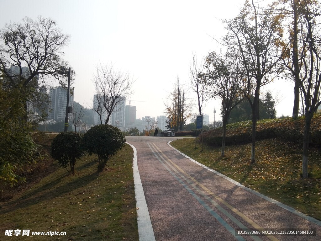 城郊静谧小路景观