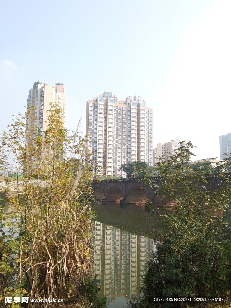 河畔高楼与繁茂绿植景观